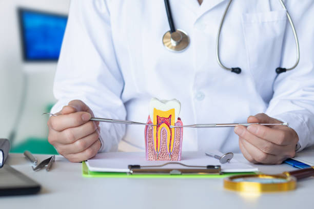 Best Dental Abscess Treatment in Rkville, PA